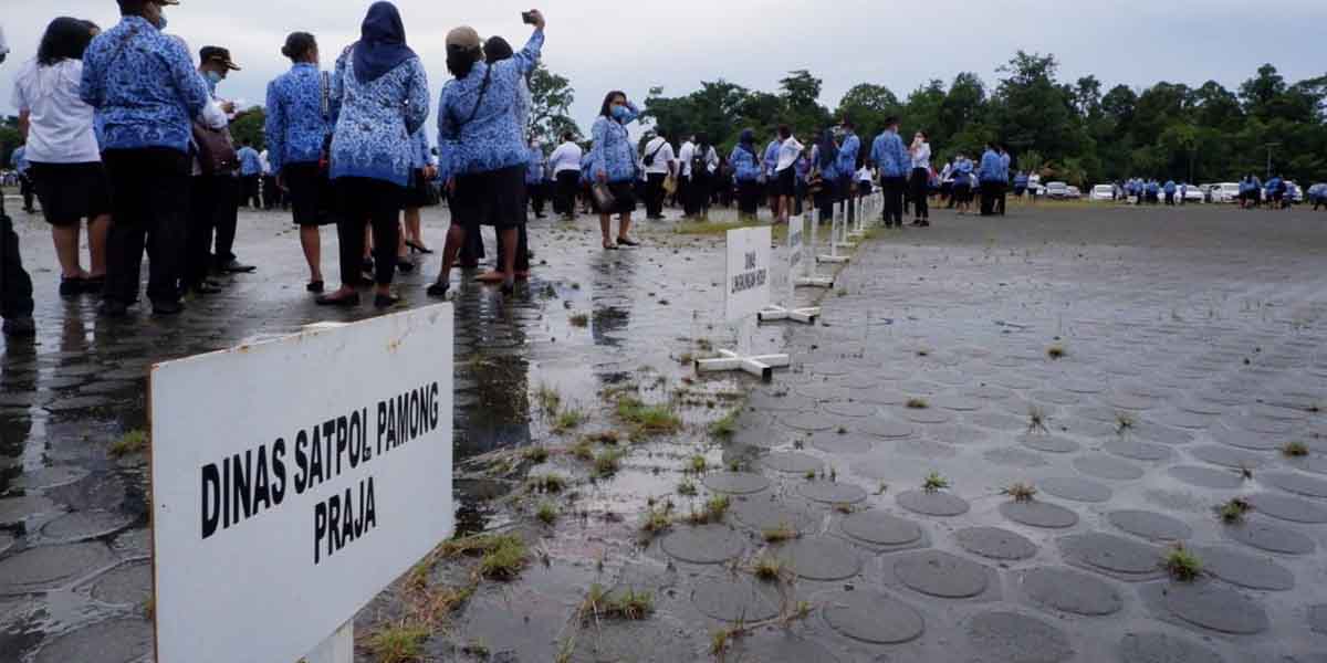 nama-honorer-mimika-diumumkan-akhir-agustus
